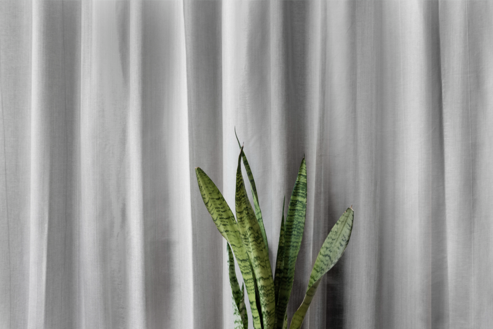 curtain